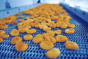 Dried apricots on a conveyor belt.