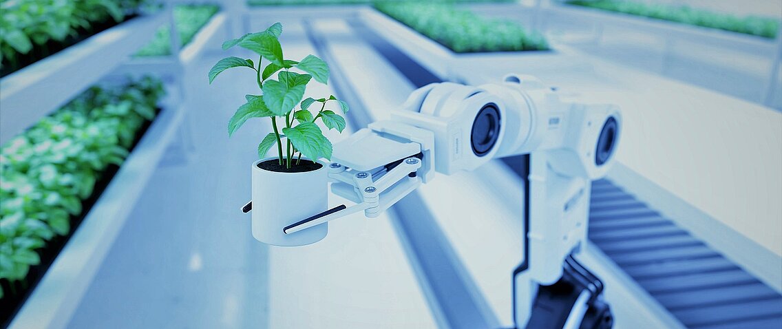 Ein Roboterarm an einem Fließband hält eine grüne Pflanze.