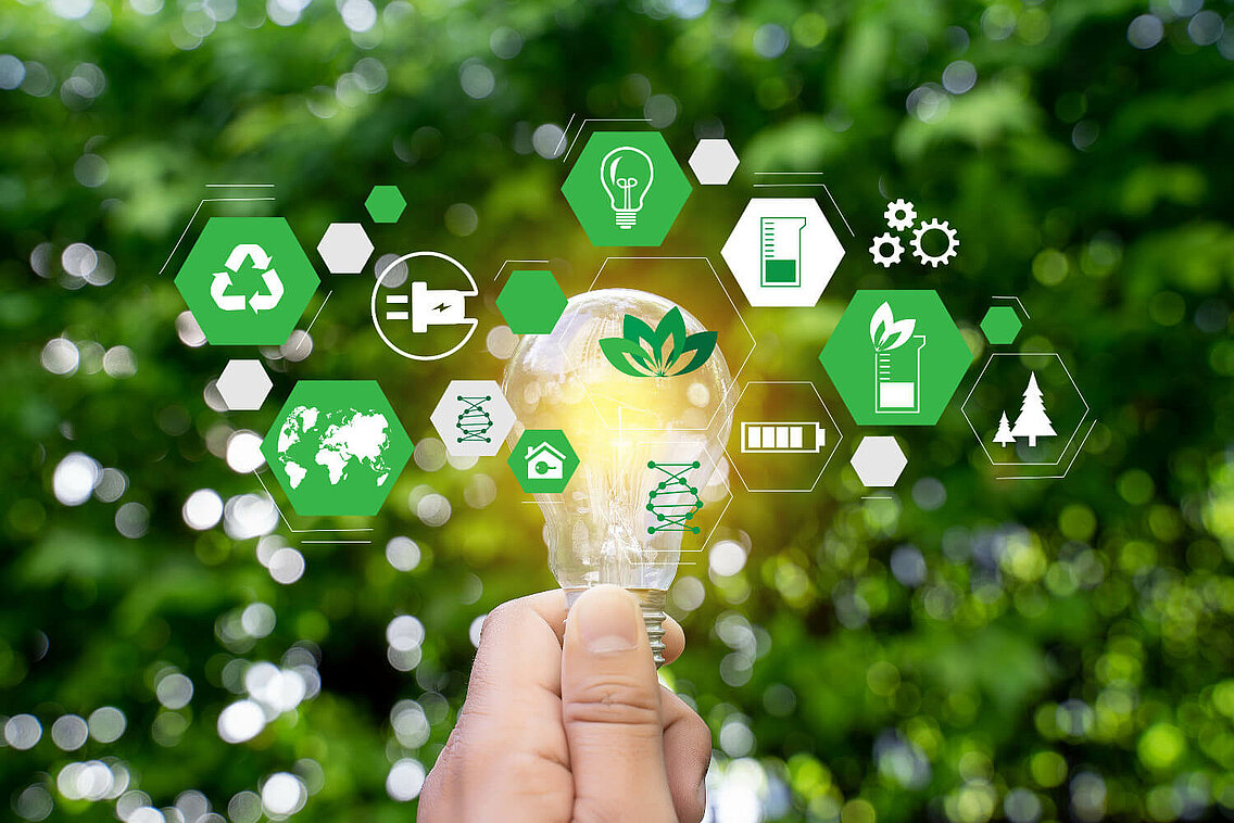 Services and Sutainability